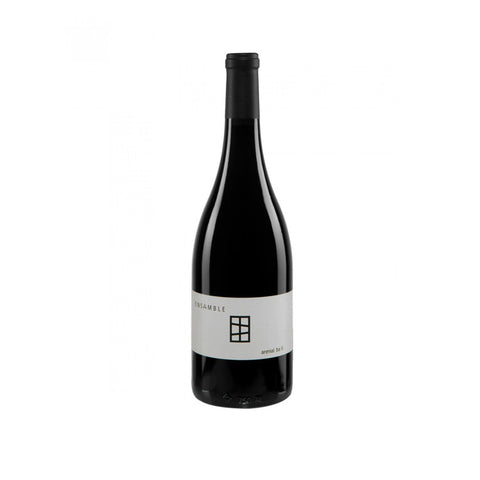 Vino Tinto Ensamble Arenal BA II / México